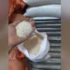 بورس برنج شیخی