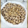 بازرگانی داتام سپهر | فروش تخمه آفتابگردان، کدو و گردو در اصفهان